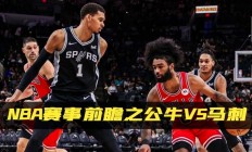 开云官网-关于雷霆血洗公牛，波特统治全场的信息