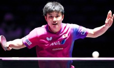 开云平台-包含日本乒乓球队横扫韩国乒乓球队，张本智和制霸全场的词条