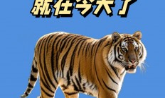 开云下载-焕发全新活力，彪形大汉打破困境的简单介绍