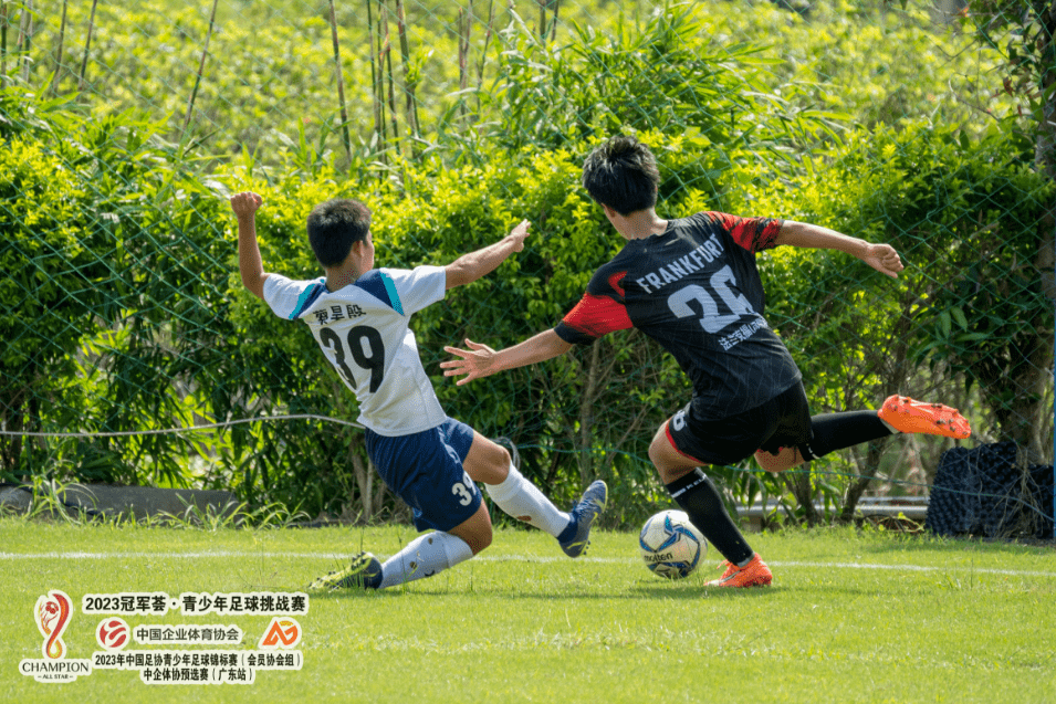 包含精妙配合助力球队胜利，队员们奋力拼搏的词条