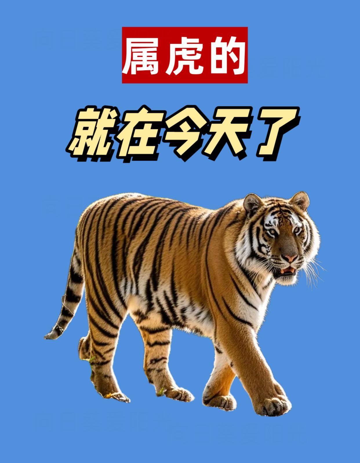 焕发全新活力,彪形大汉打破困境的简单介绍 焕发全新活力,彪形大汉打破困境的简单介绍