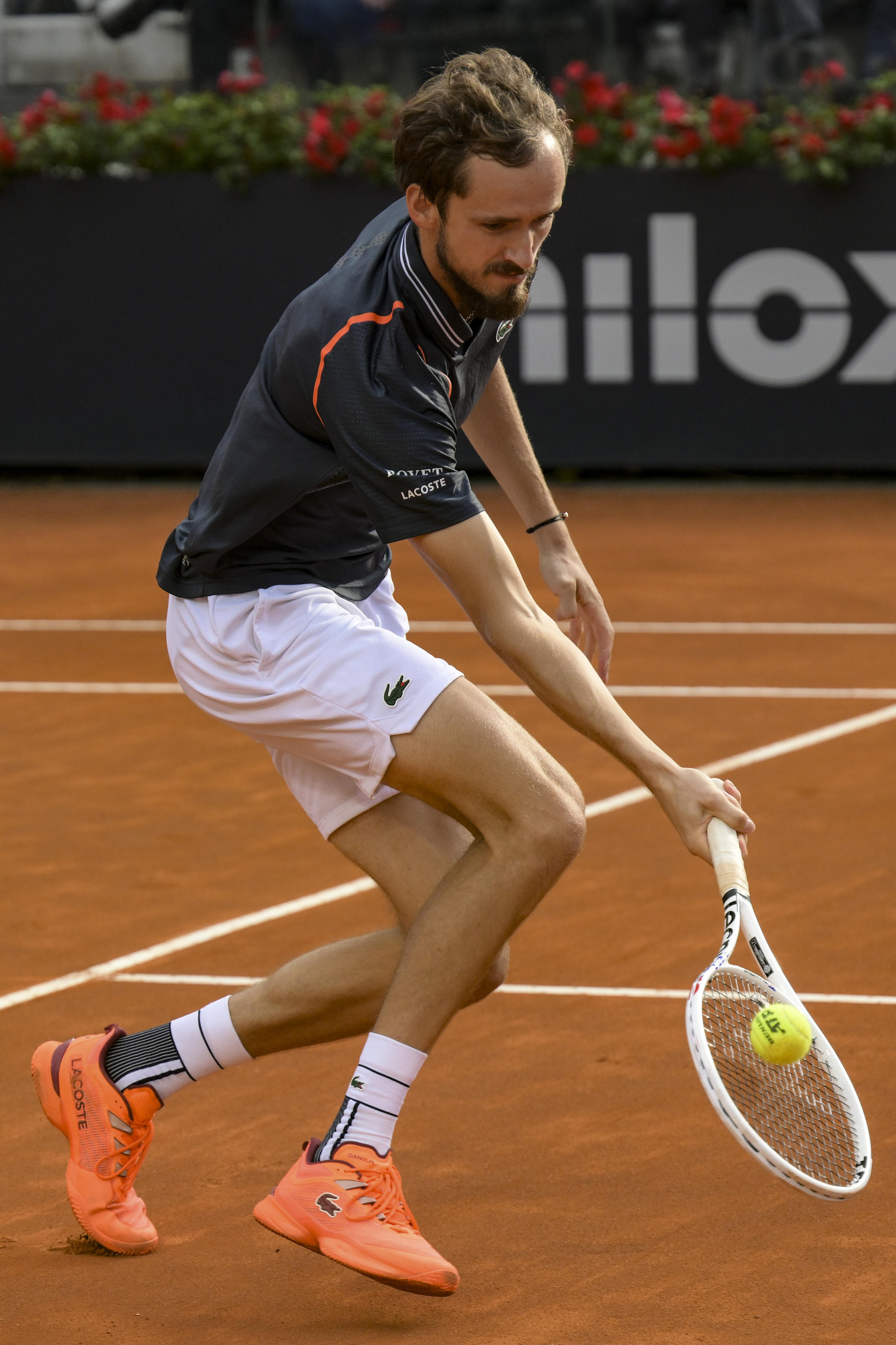 包含澳大利亚网球队逆转意大利网球队，梅德韦杰夫高光表现的词条