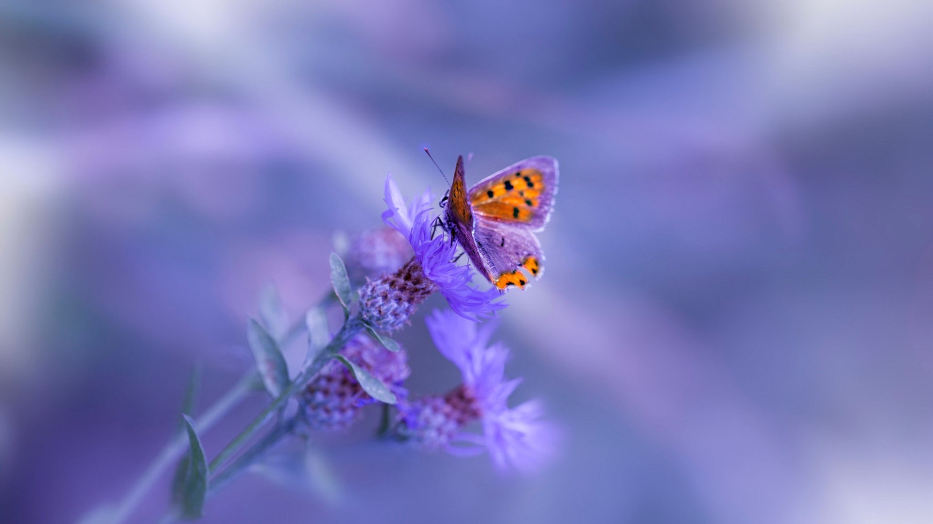 末节风暴！巴尔韦德接管战局，贝蒂斯冲垮黄色潜水艇