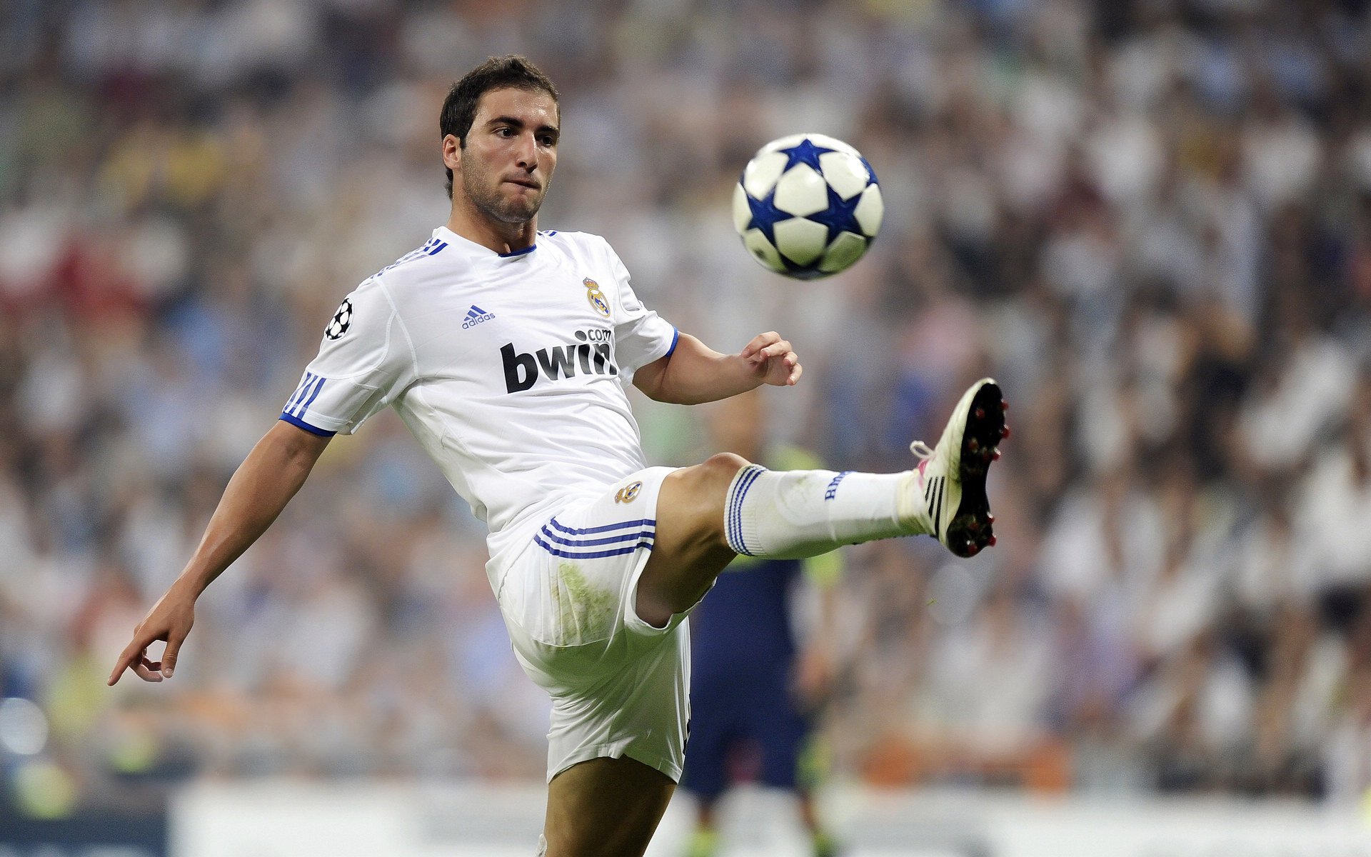 帕尔默的绝唱,F1年度争冠之夜,那个让对手完全无解的传奇