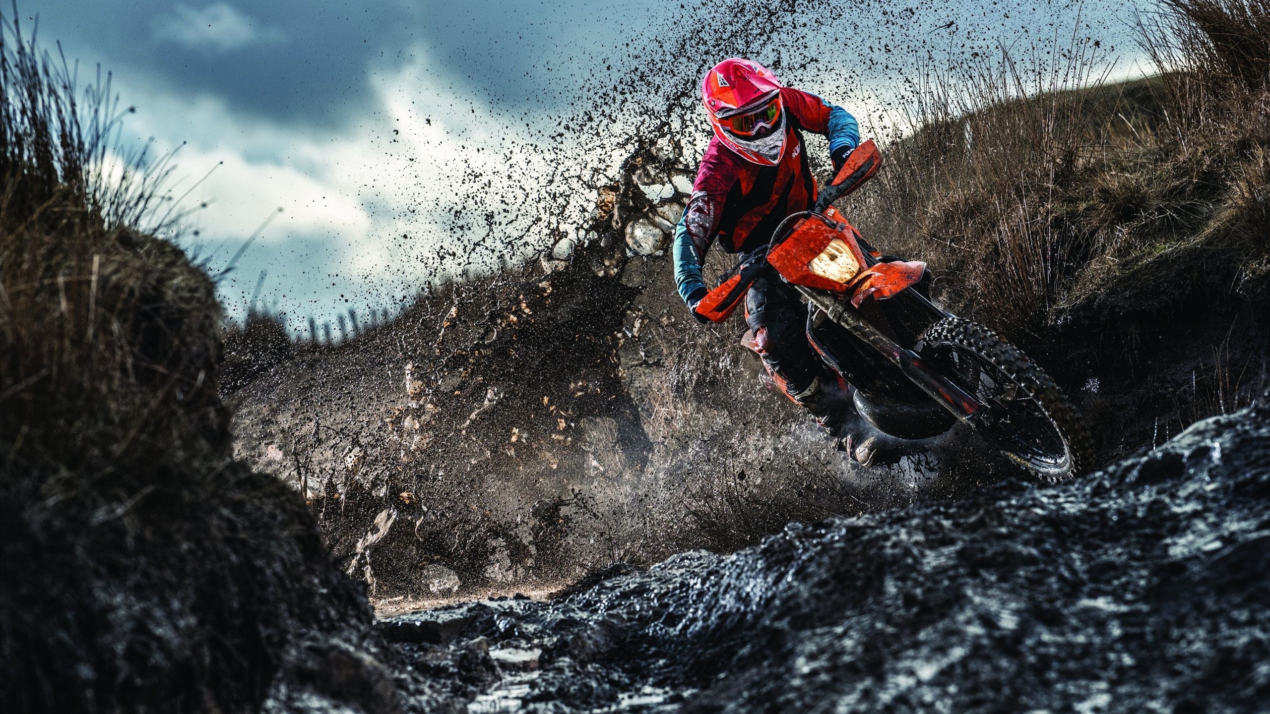 许昕统治全场,奥地利队险胜波兰队背后的战术博弈与精神较量