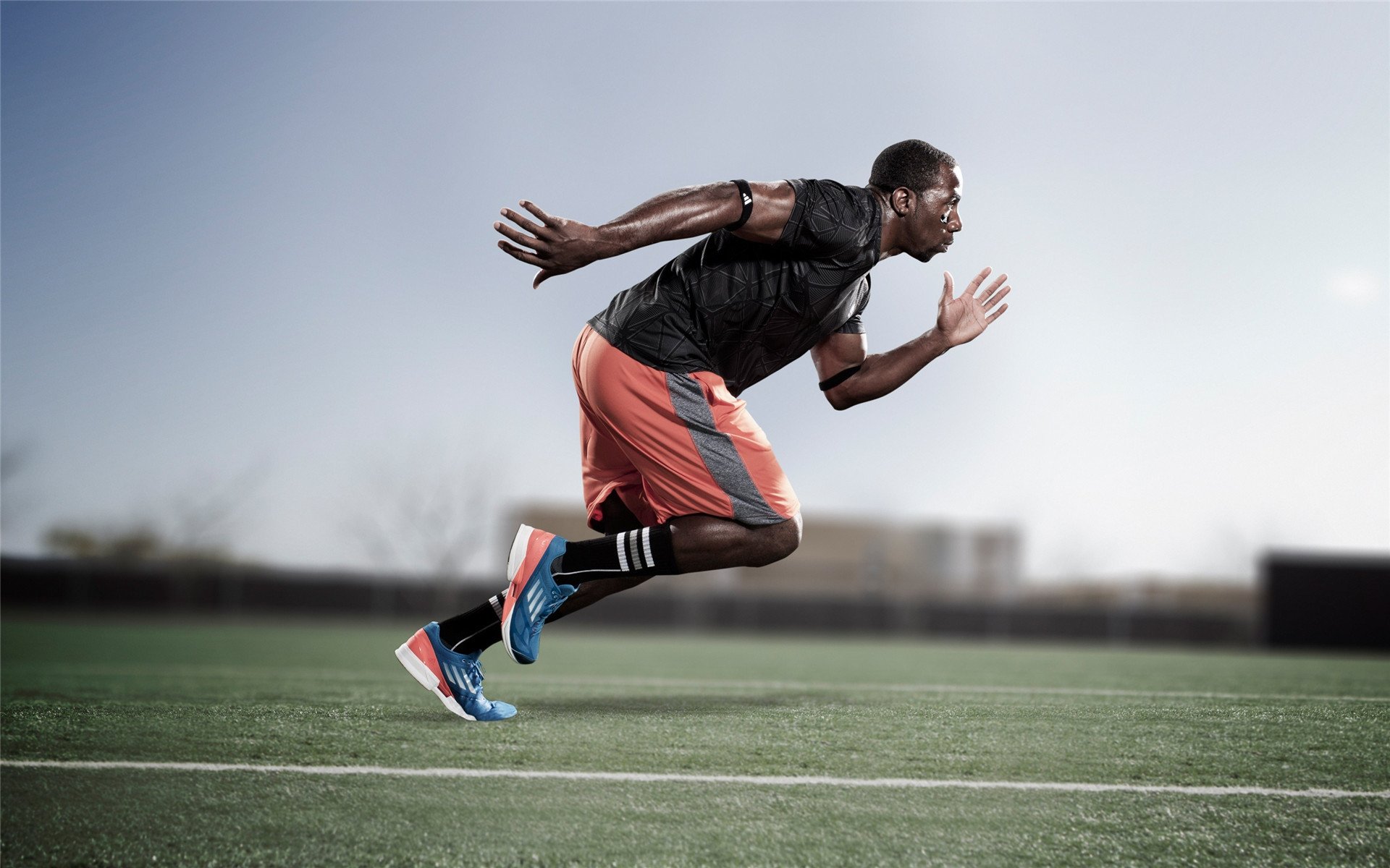 马克西爆发难救主，绿军末节一波流带走黄蜂